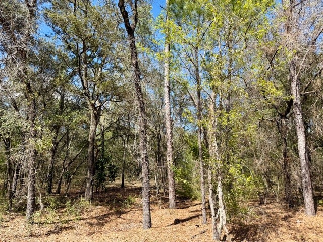 TBA SE 66th Place Morriston FL 32668 OM719858 image1