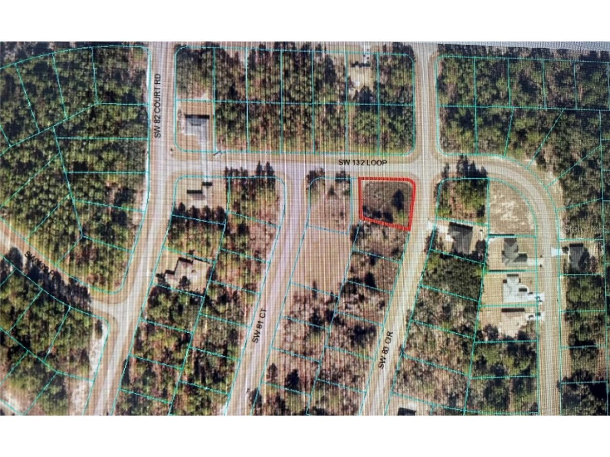 TBA SW 132 Loop Ocala FL 34473 OM664895 image1