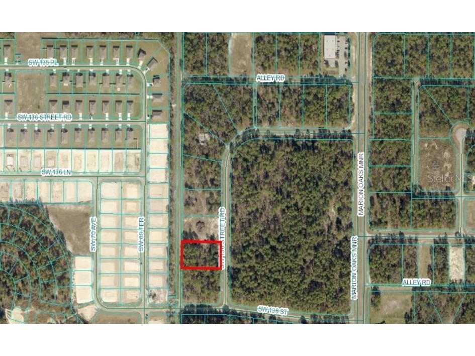 TBA SW 136 Street Ocala FL 34473 OM704309 image1