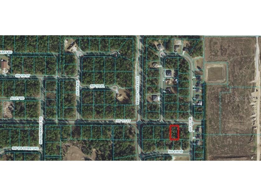 TBA SW 137 Street Ocala FL 34473 OM674410 image1