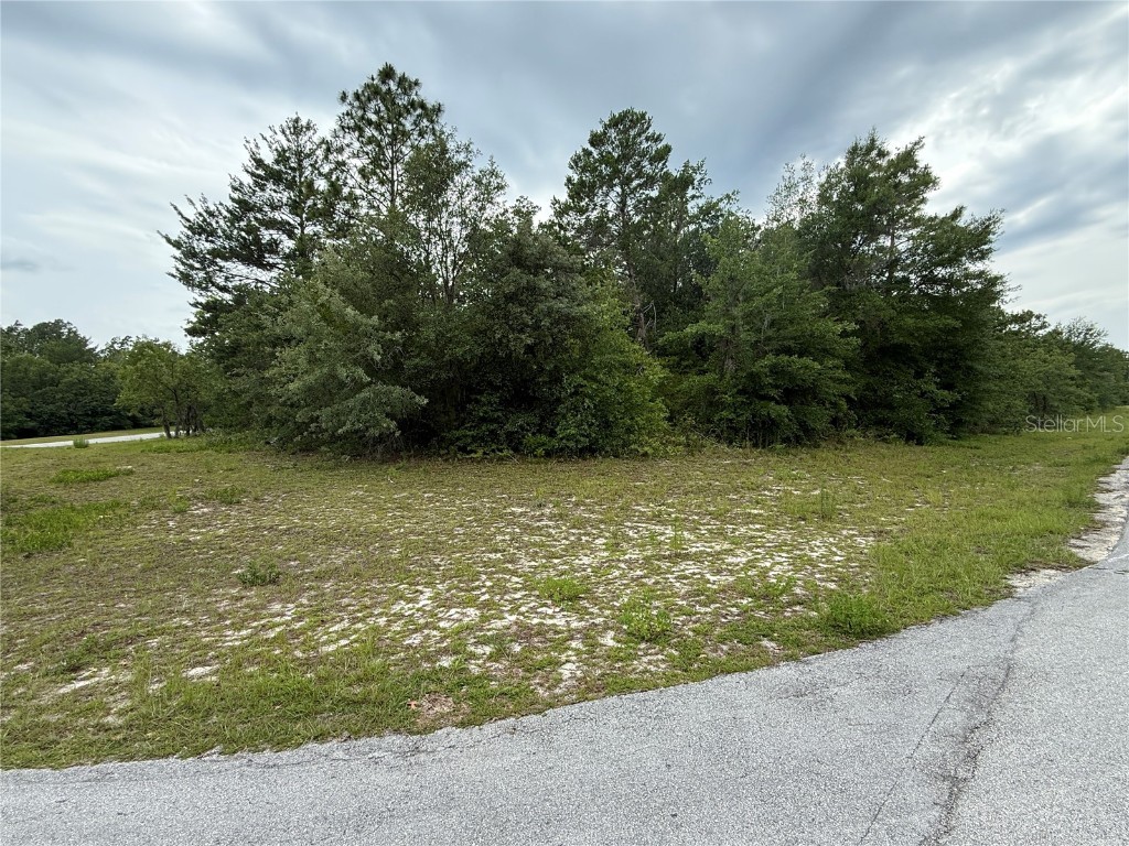 TBA SW 138th Lane Ocala FL 34473 OM702855 image5