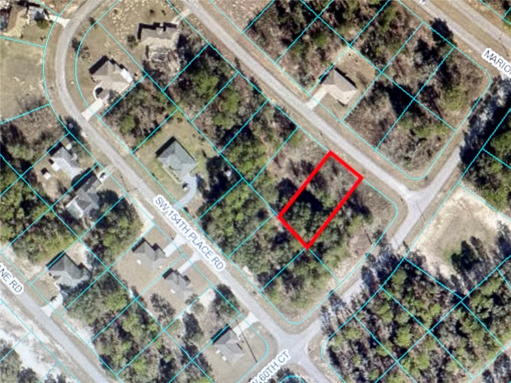 TBA SW 154 Street Ocala FL 34473 OM659997 image1