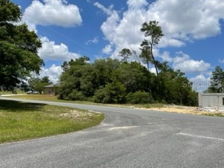 TBA SW 159 Street Rd Ocala FL 34473 OM638549 image1