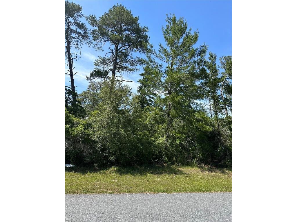 TBA SW 20 Court Rd Ocala FL 34473 OM677013 image1