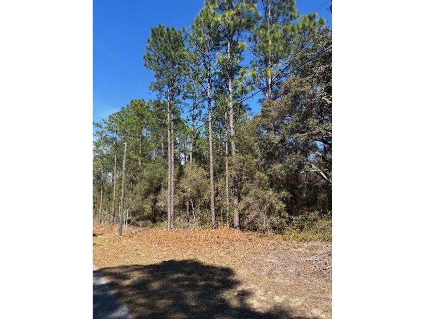 TBA SW 207 Court #4 Dunnellon FL 34431 OM719575 image1