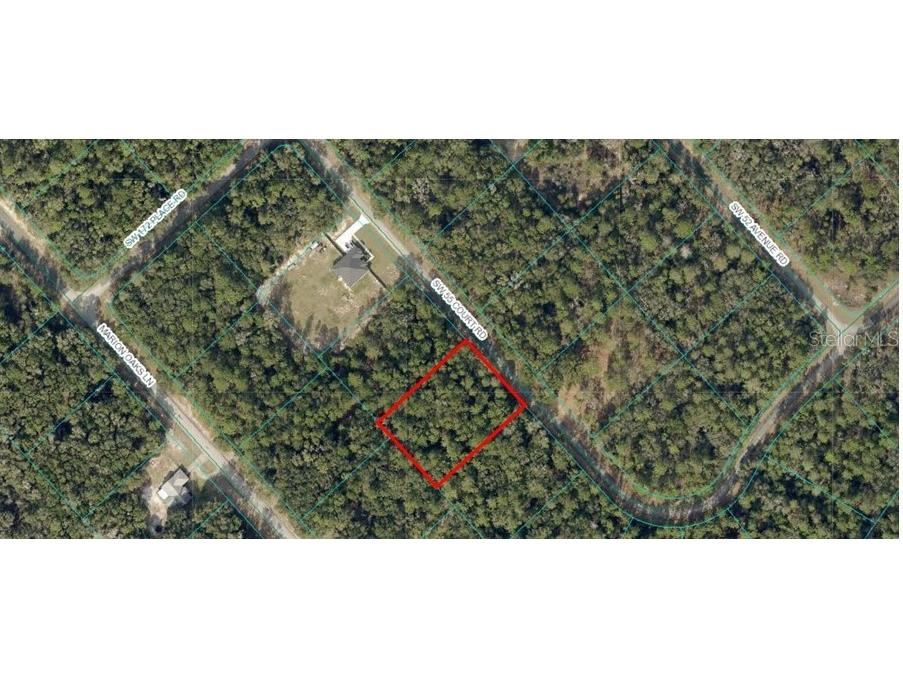 TBA SW 55 Ct Rd Ocala FL 34473 OM706365 image1