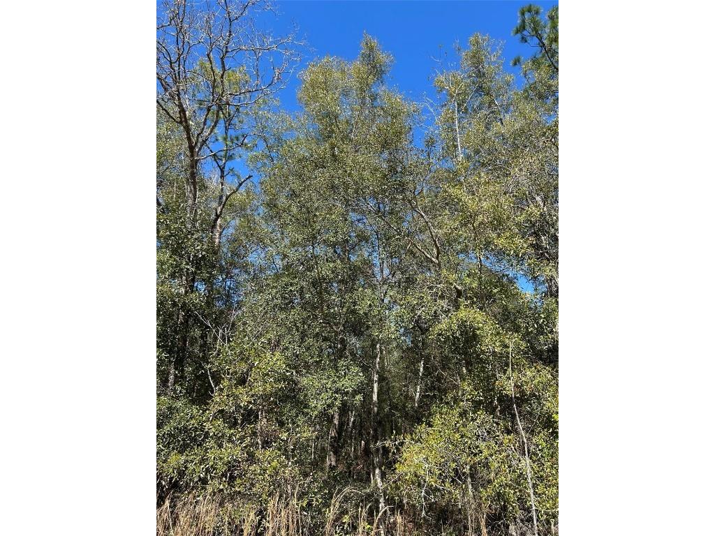 TBA SW 55th Street Ocala FL 34481 OM698282 image1