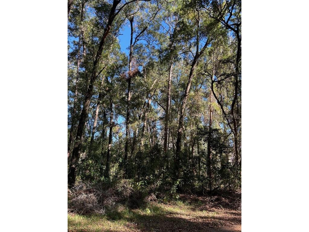 TBA SW 91st Loop Dunnellon FL 34432 - RAINBOW RIVER PRIVATE PARK OM689933 image1