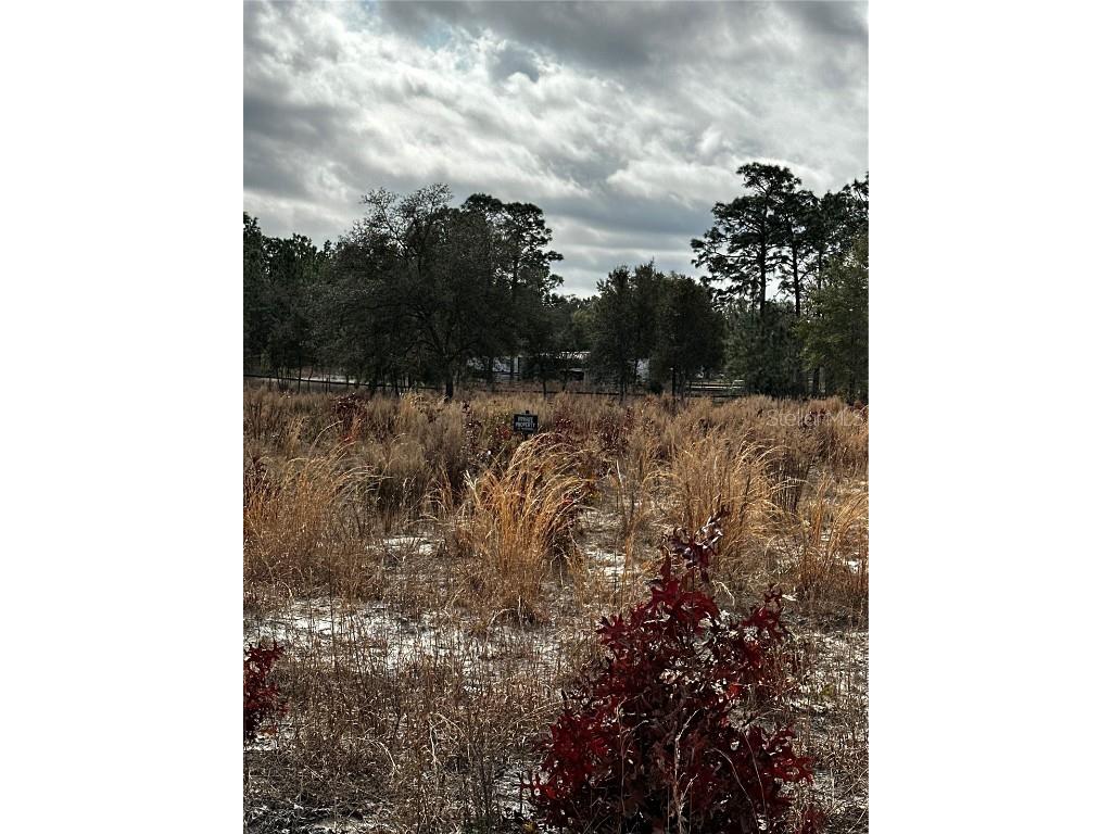 TBA SW 93rd Place Dunnellon FL 34432 OM712906 image1