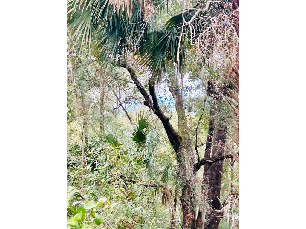 TBA Sw 97th Loop Lot 17 Dunnellon FL 34432 - RAINBOW RIVER PRIVATE PARK OM693173 image1