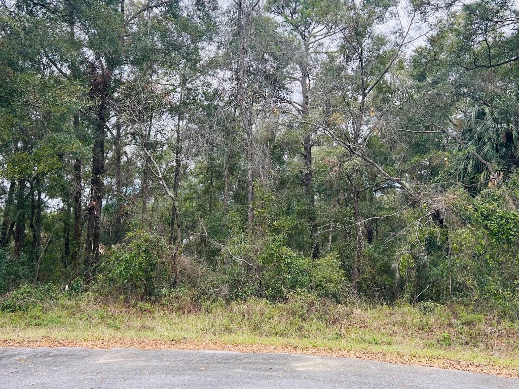 TBA Sw 97th Loop Lot 18 Dunnellon FL 34432 - RAINBOW RIVER PRIVATE PARK OM693184 image1
