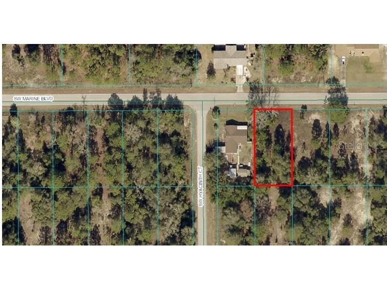 TBA SW Marine Blvd Dunnellon FL 34431 OM702164 image1