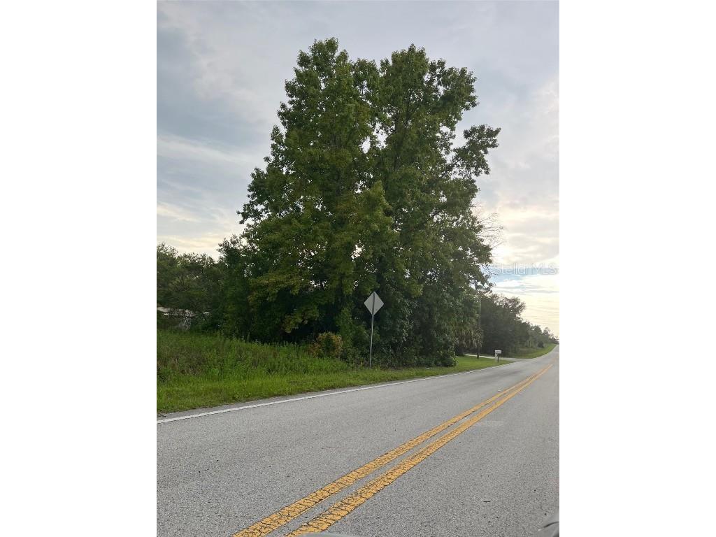 TBA SW Marine Blvd Dunnellon FL 34431 OM702164 image5