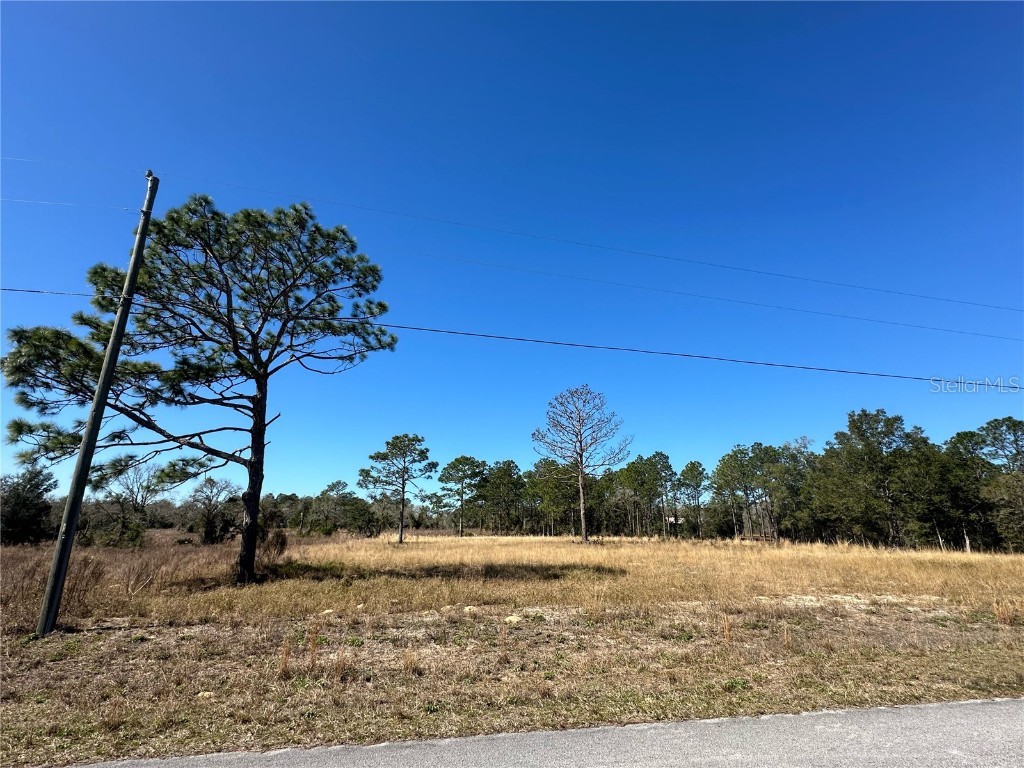 TBA SW Viola Court #LOT 3 Dunnellon FL 34431 OM672327 image1