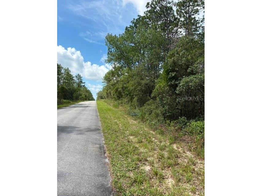 TBA SW Winding Hills Road Dunnellon FL 34431 OM726782 image3