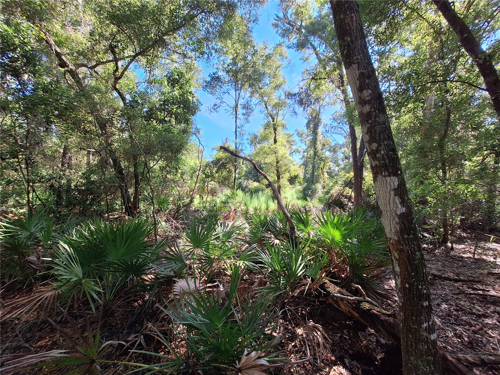 TBD 00 NW 47th Street Chiefland FL 32626 GC533717 image1