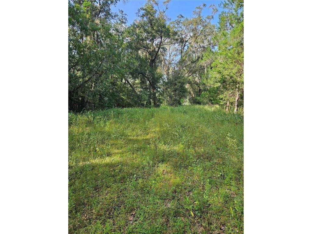 TBD 00 Se 80th Ct Ocala FL 34480 O6147047 image1