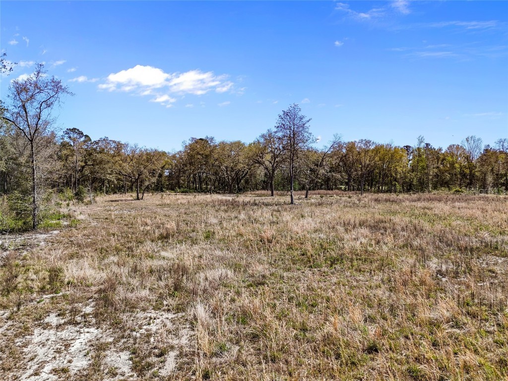 TBD 00 SE Us Hwy 301 Hawthorne FL 32640 GC529041 image1