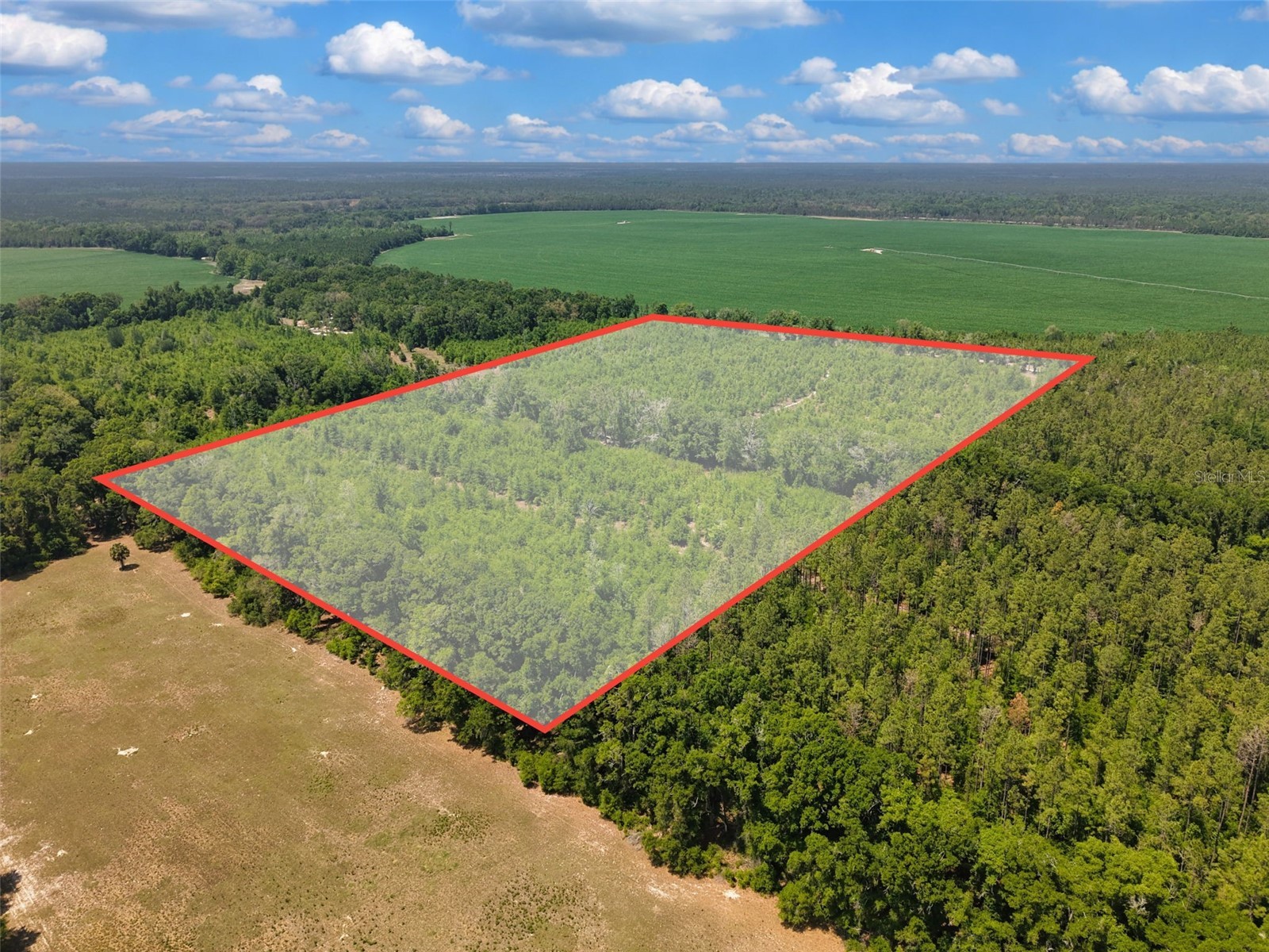 TBD 000 NE 998th Avenue Branford FL 32008 GC539766 image1