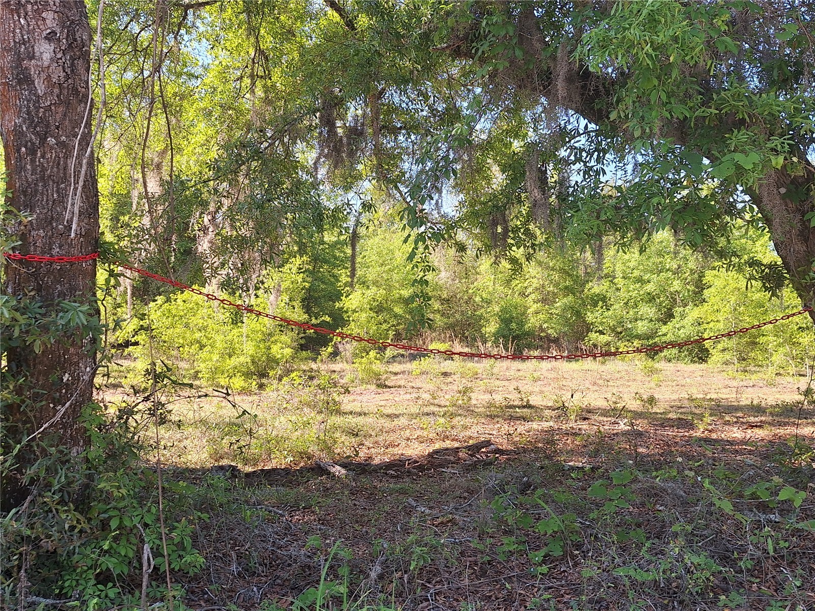 TBD 000 NE 998th Avenue Branford FL 32008 GC539766 image10