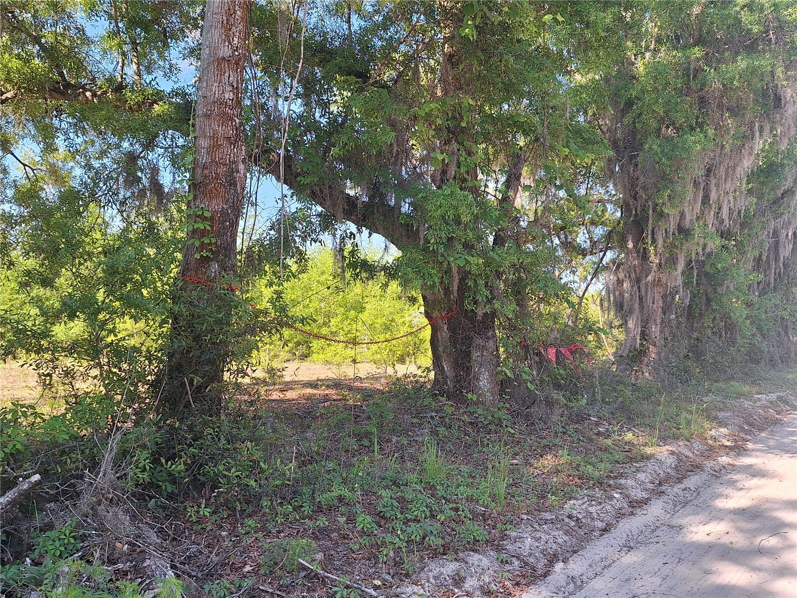 TBD 000 NE 998th Avenue Branford FL 32008 GC539766 image11