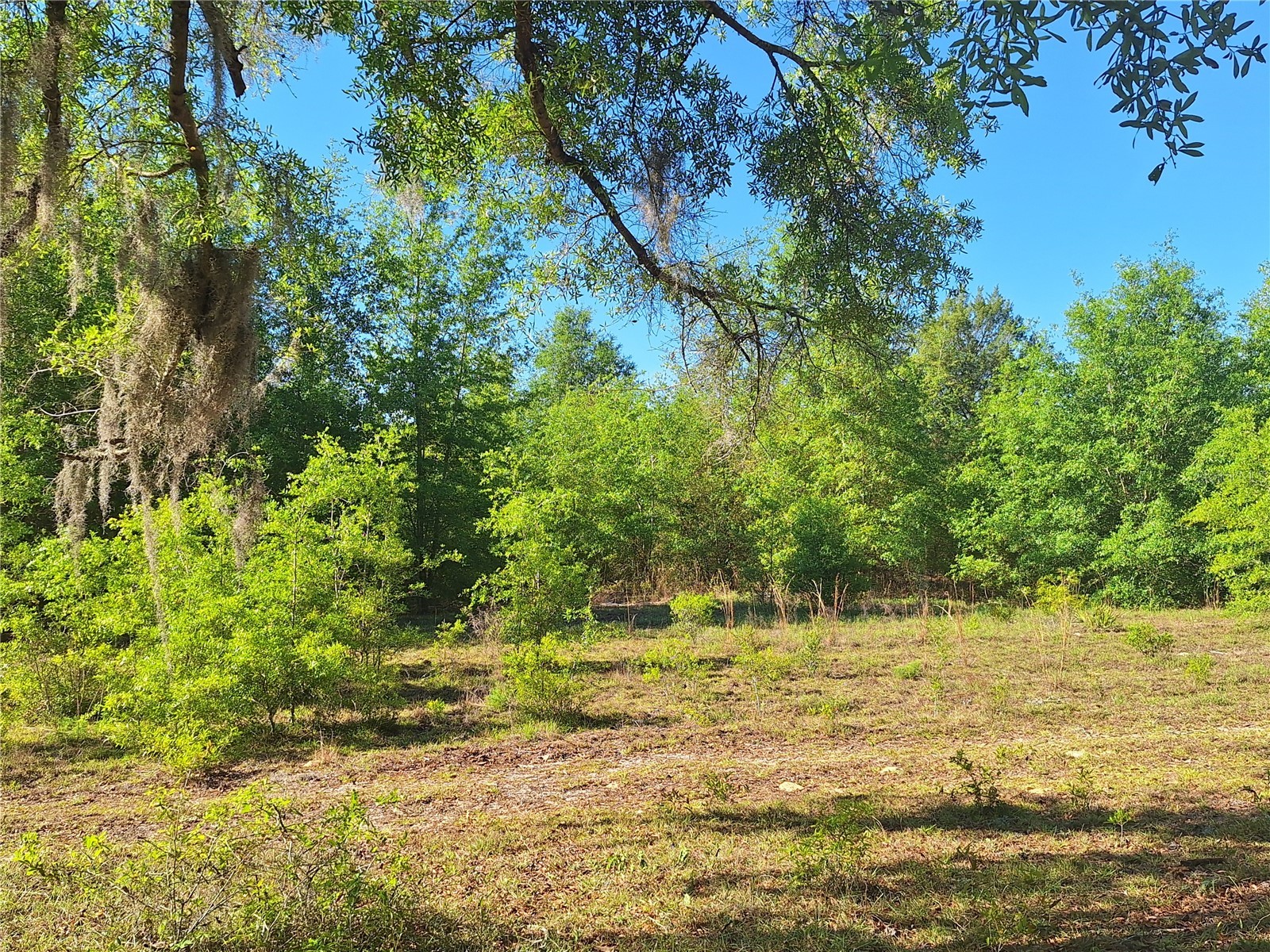 TBD 000 NE 998th Avenue Branford FL 32008 GC539766 image12