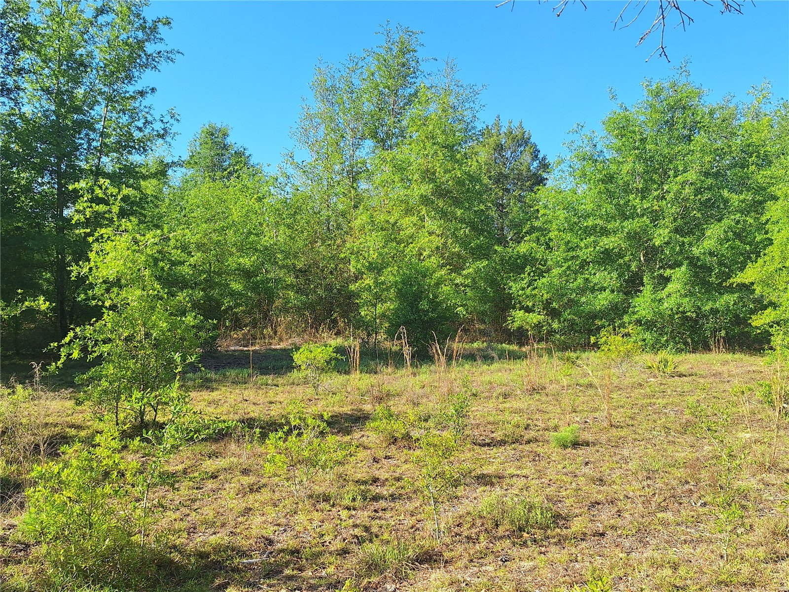 TBD 000 NE 998th Avenue Branford FL 32008 GC539766 image13