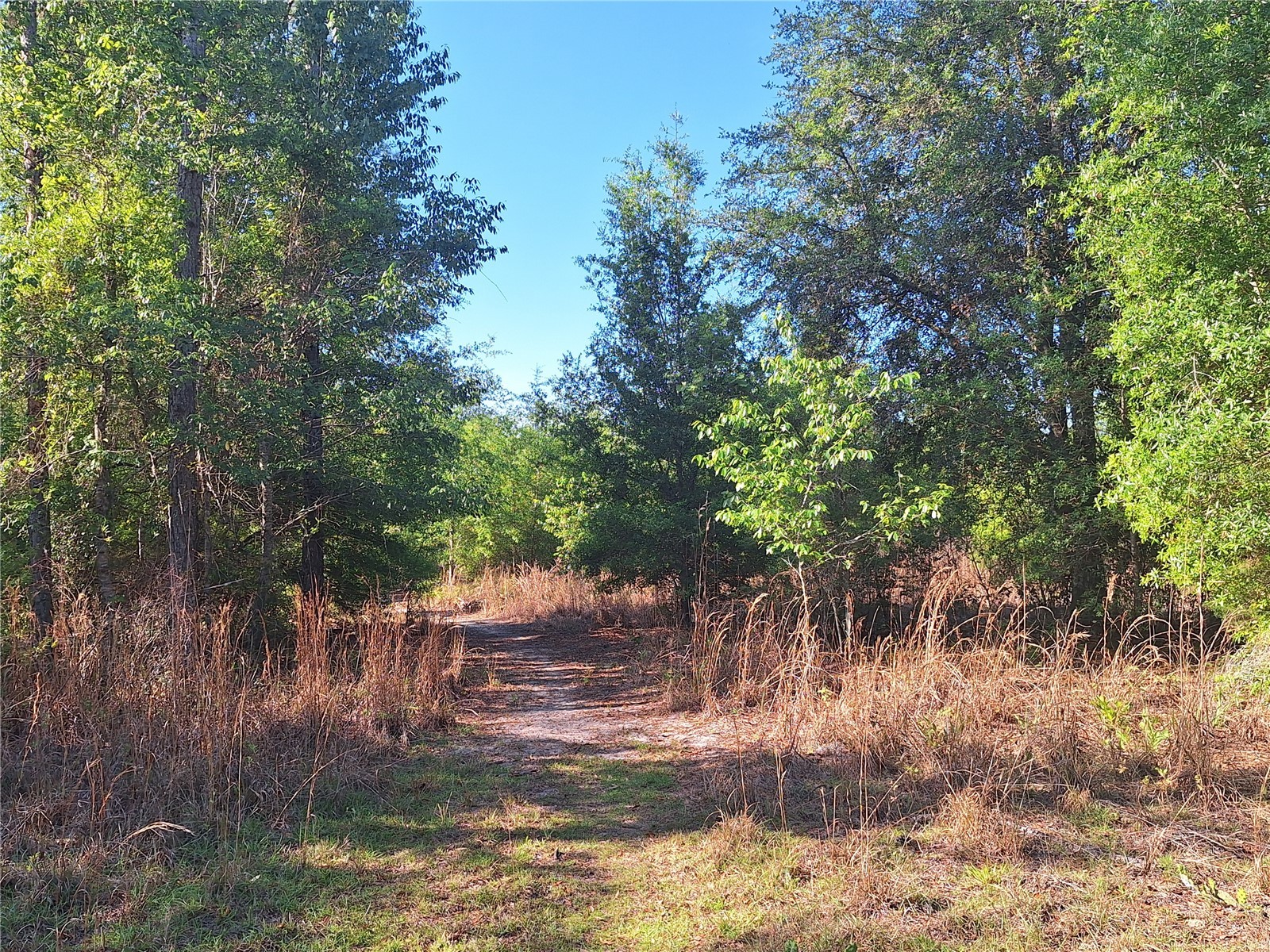 TBD 000 NE 998th Avenue Branford FL 32008 GC539766 image15