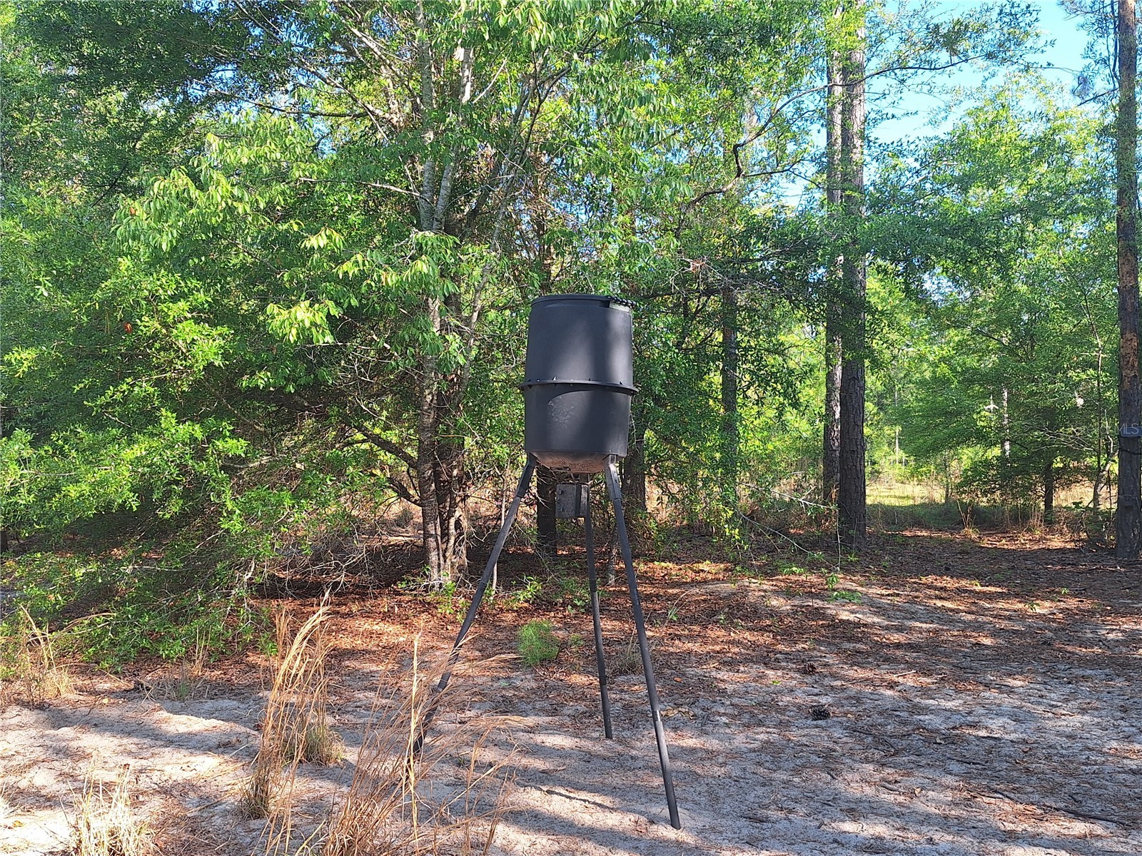 TBD 000 NE 998th Avenue Branford FL 32008 GC539766 image17
