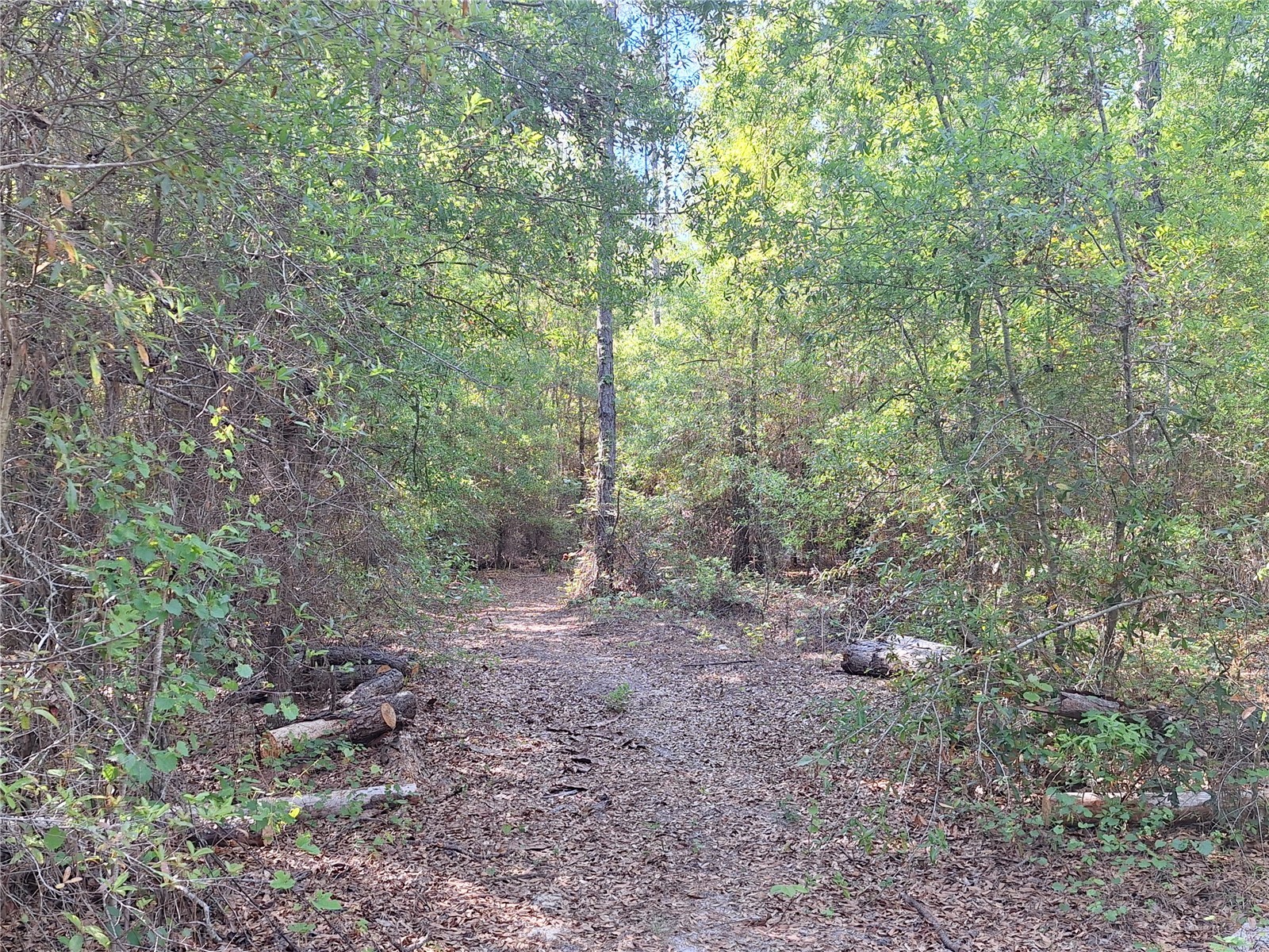 TBD 000 NE 998th Avenue Branford FL 32008 GC539766 image18