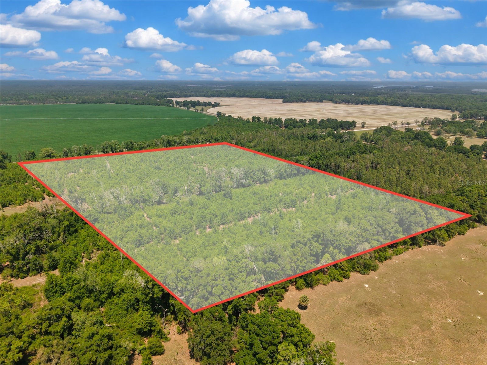 TBD 000 NE 998th Avenue Branford FL 32008 GC539766 image21