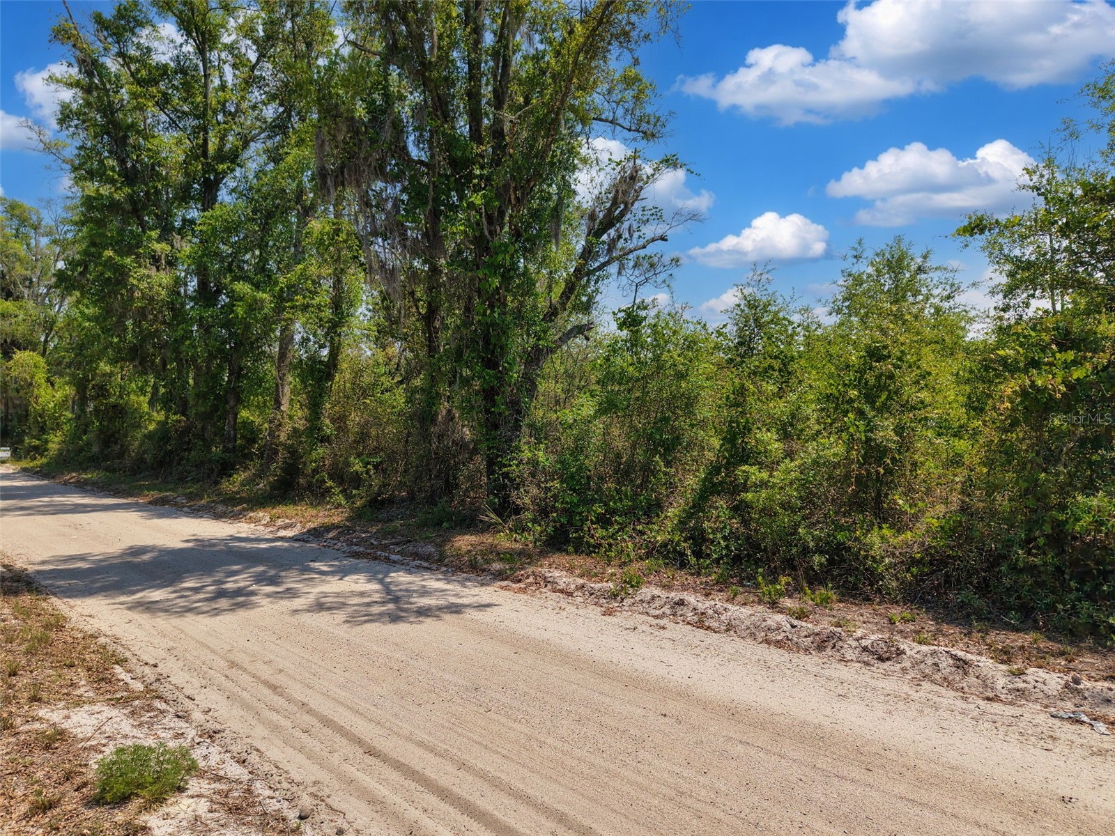 TBD 000 NE 998th Avenue Branford FL 32008 GC539766 image22