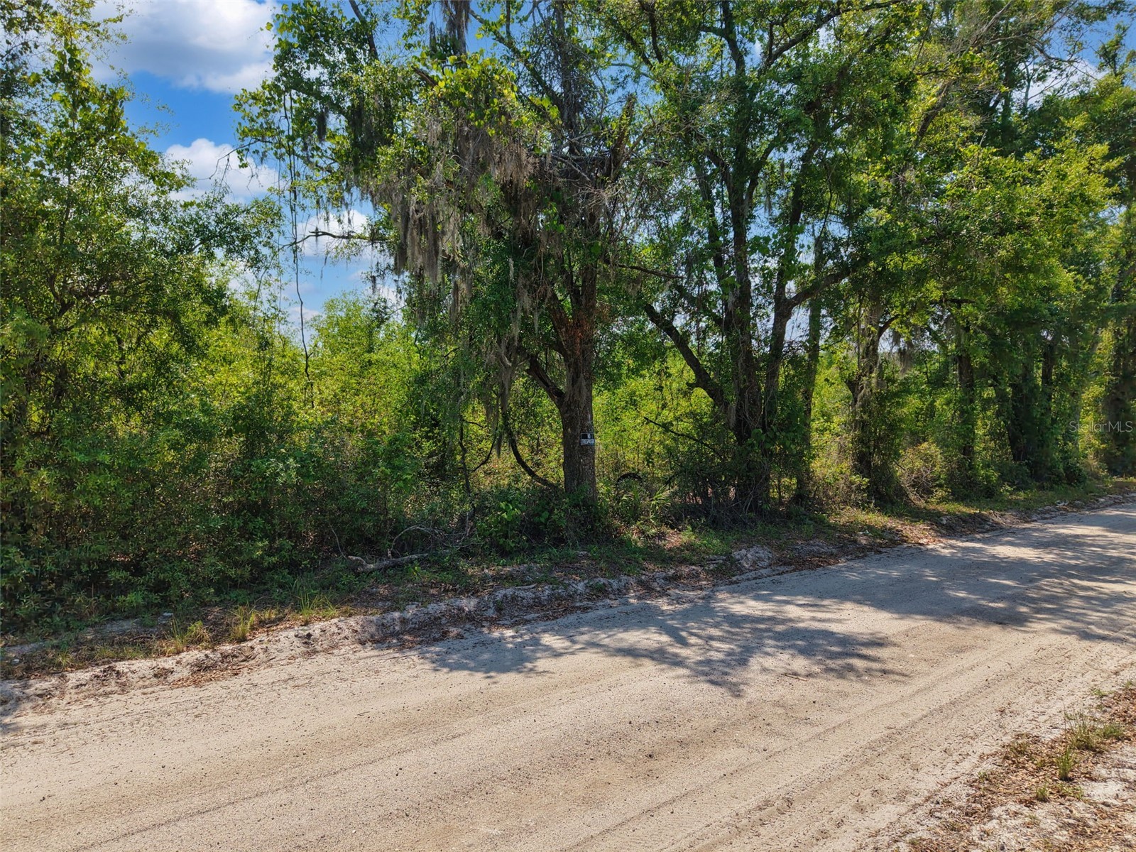 TBD 000 NE 998th Avenue Branford FL 32008 GC539766 image23