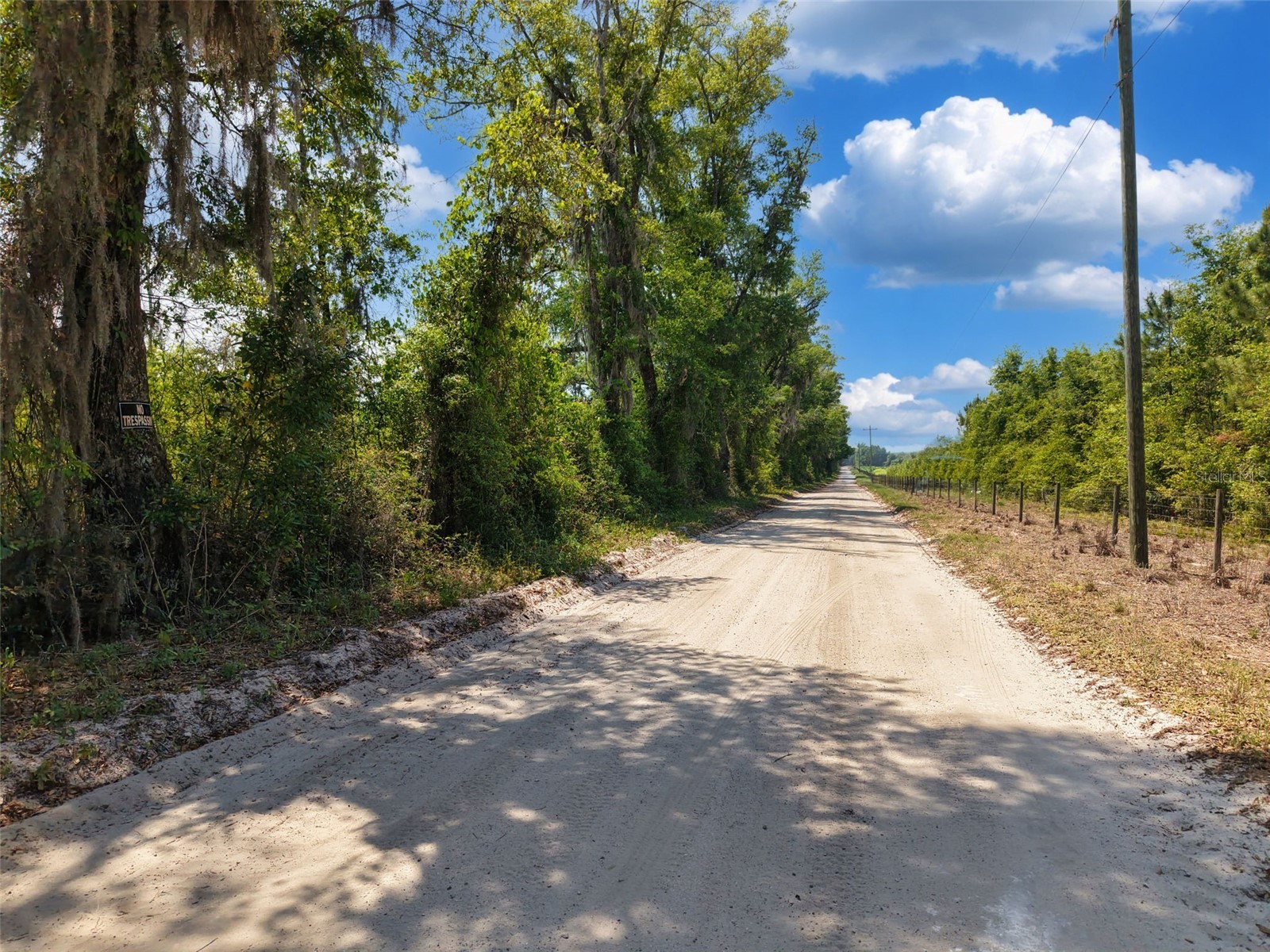 TBD 000 NE 998th Avenue Branford FL 32008 GC539766 image24