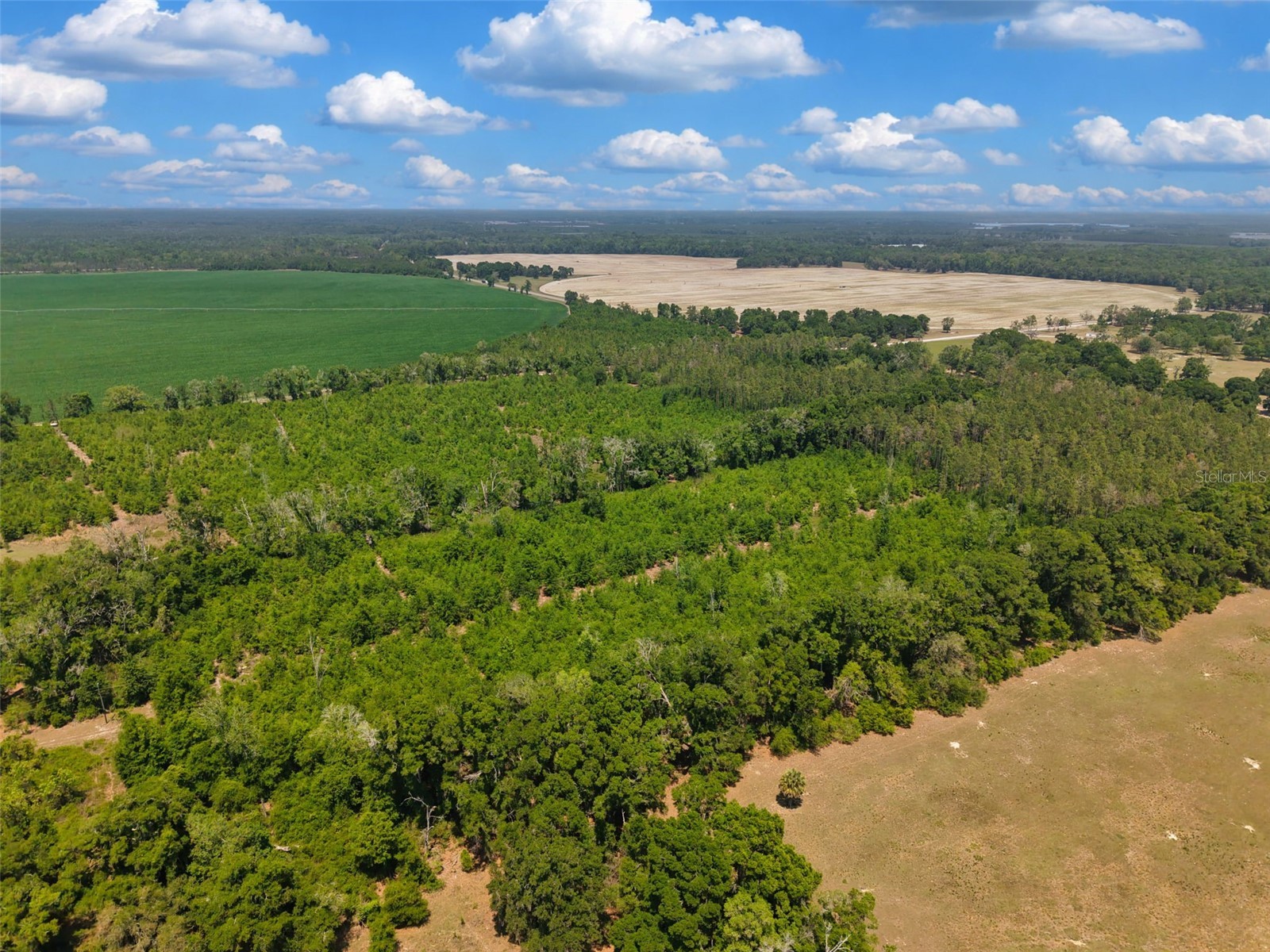 TBD 000 NE 998th Avenue Branford FL 32008 GC539766 image3