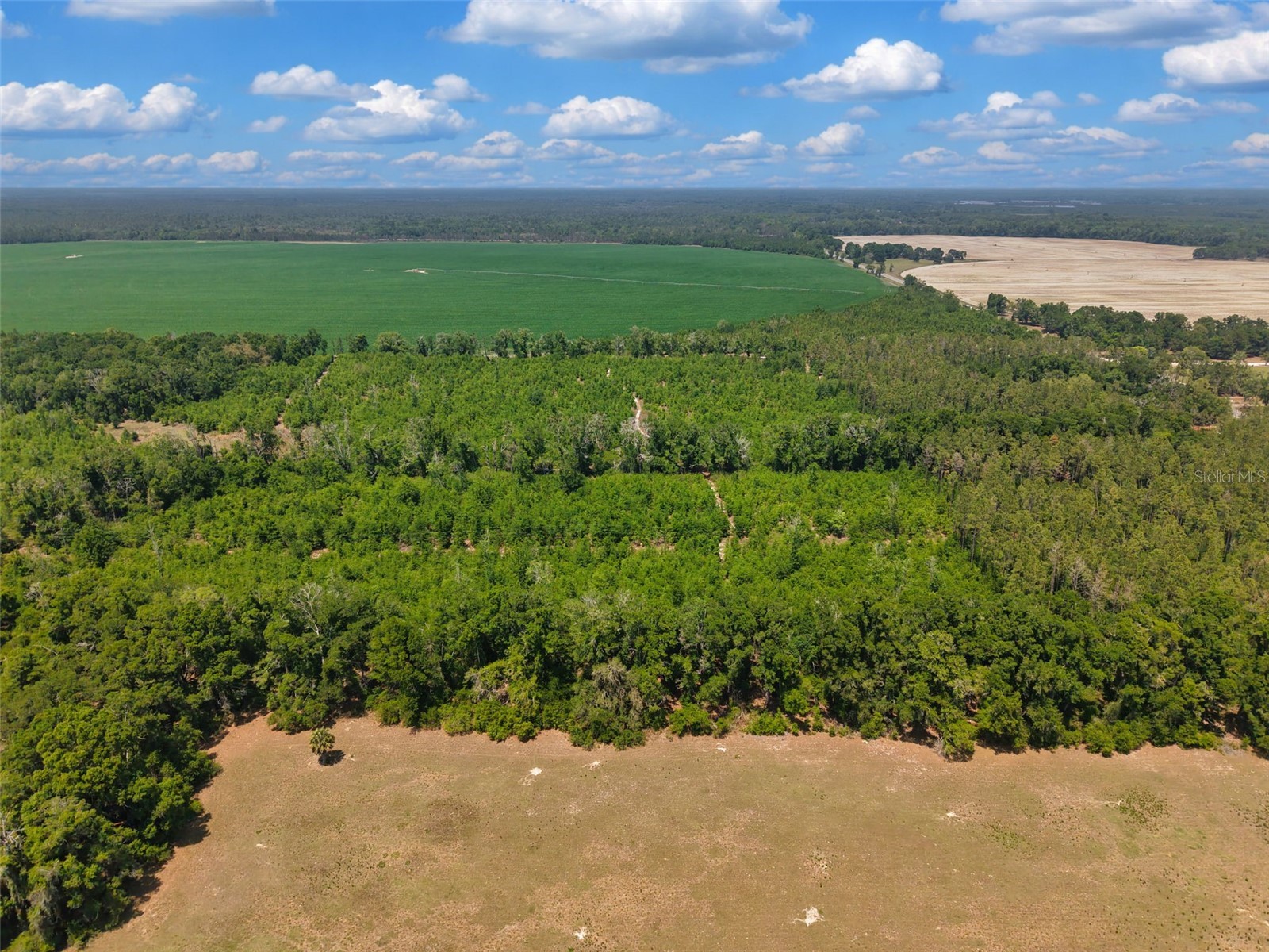 TBD 000 NE 998th Avenue Branford FL 32008 GC539766 image5