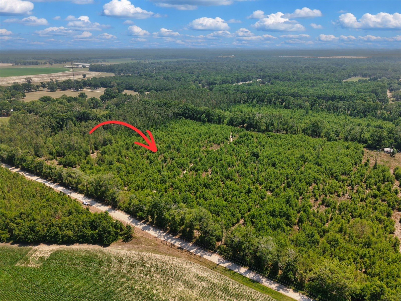 TBD 000 NE 998th Avenue Branford FL 32008 GC539766 image6