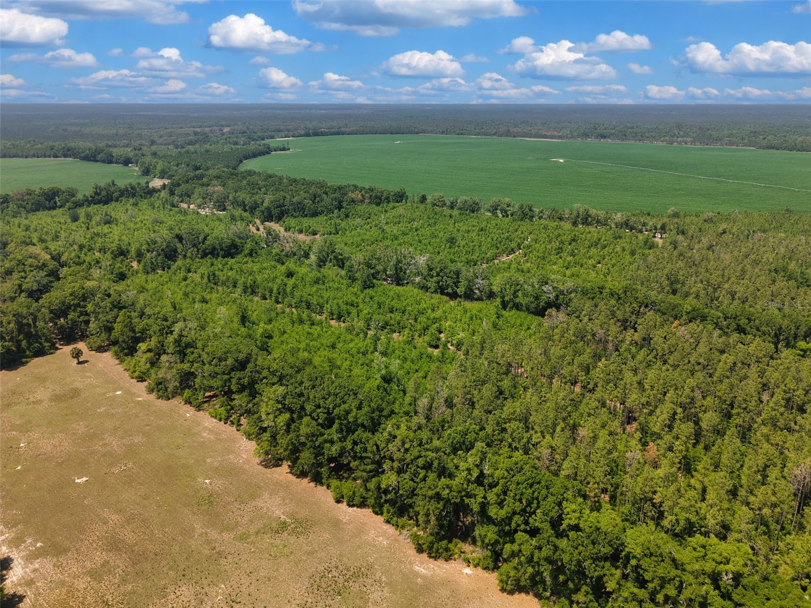 TBD 000 NE 998th Avenue Branford FL 32008 GC539766 image7