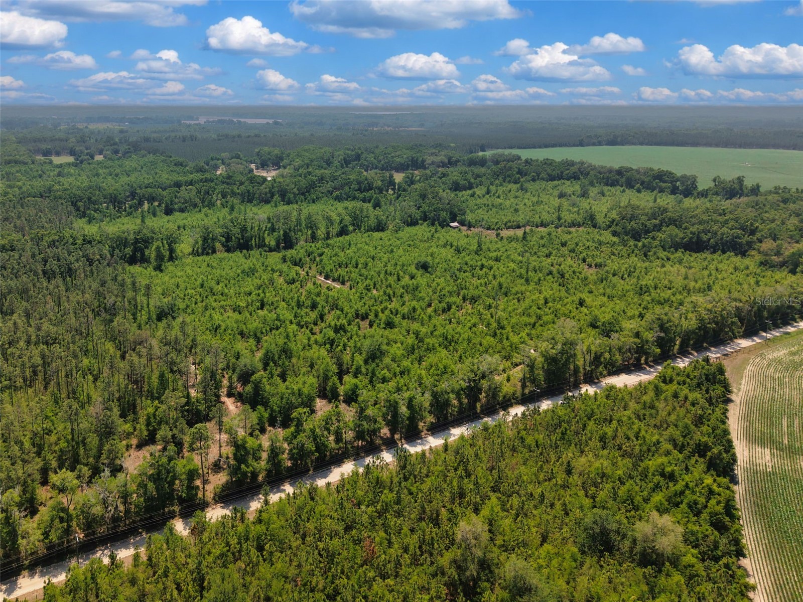 TBD 000 NE 998th Avenue Branford FL 32008 GC539766 image8