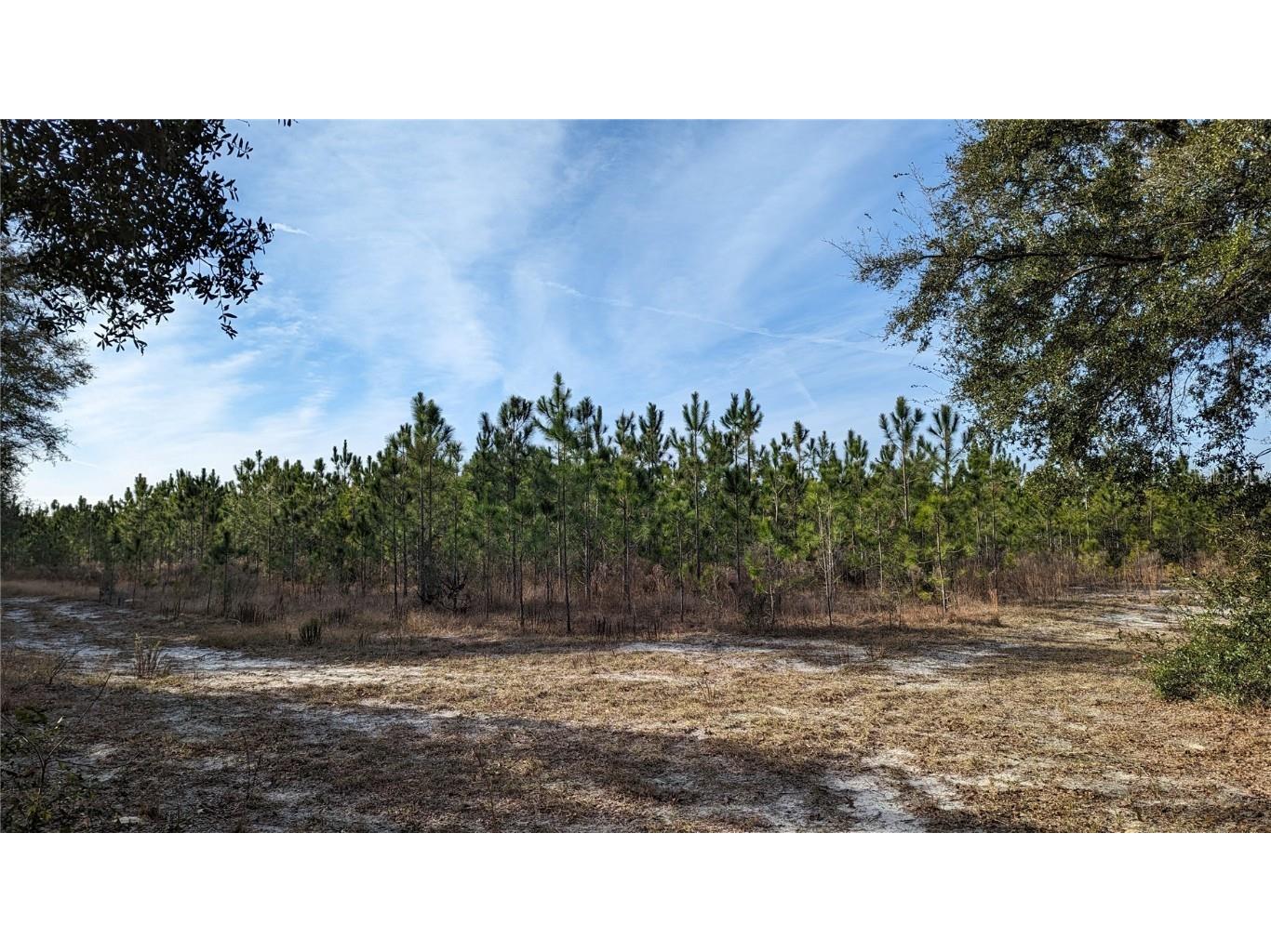 TBD - 104.7 ac Dixie Highway High Springs FL 32643 GC519144 image1