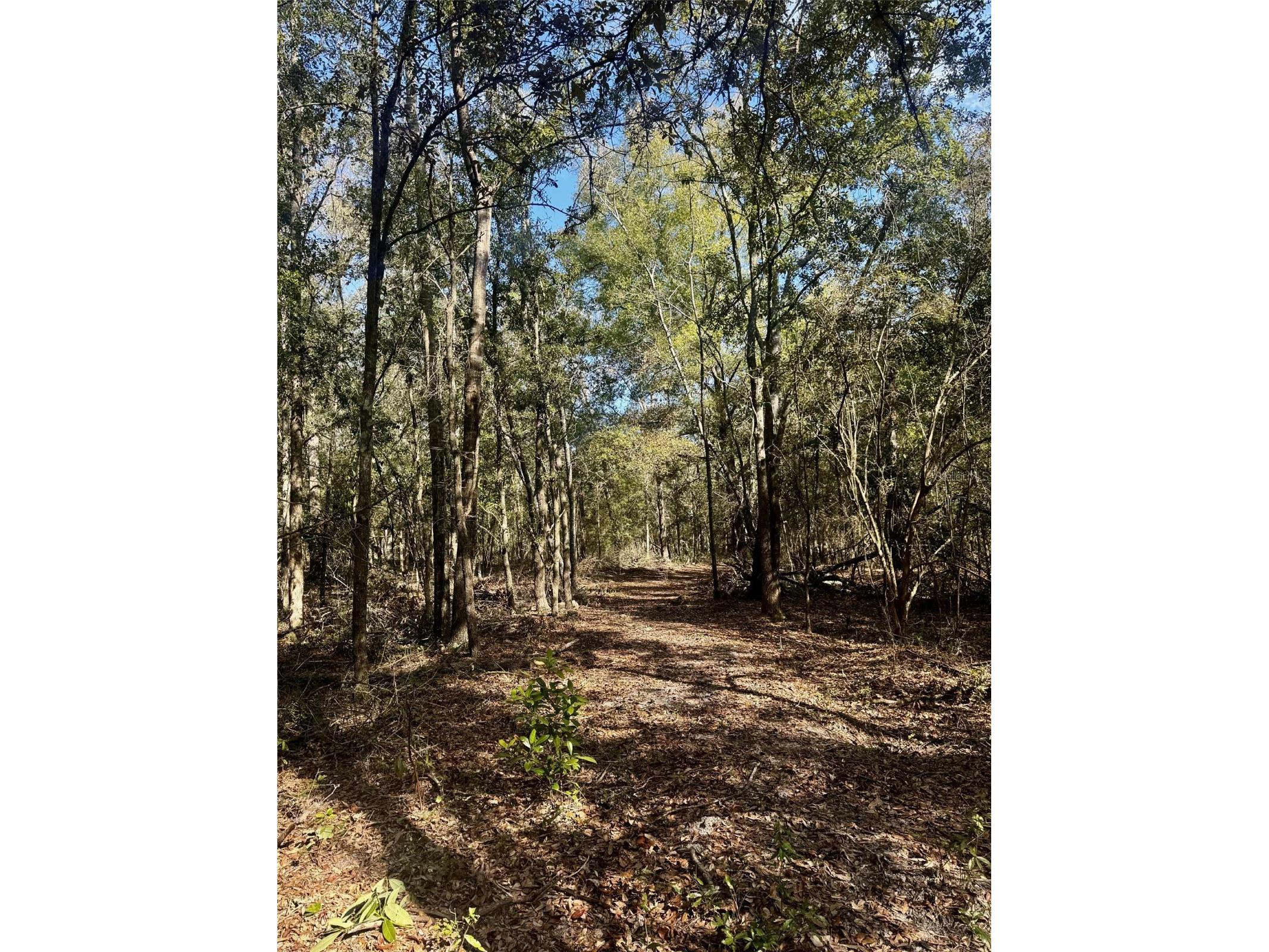 TBD 109th Drive O'Brien FL 32071 GC536927 image4