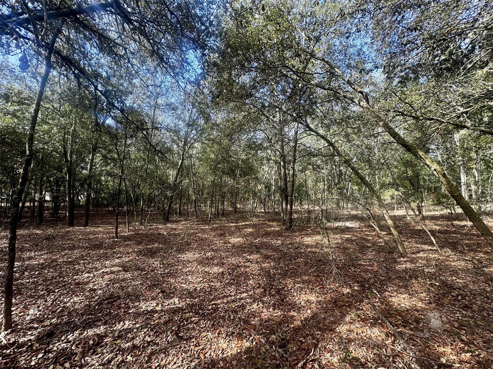 TBD 109th Drive O'Brien FL 32071 GC536927 image5