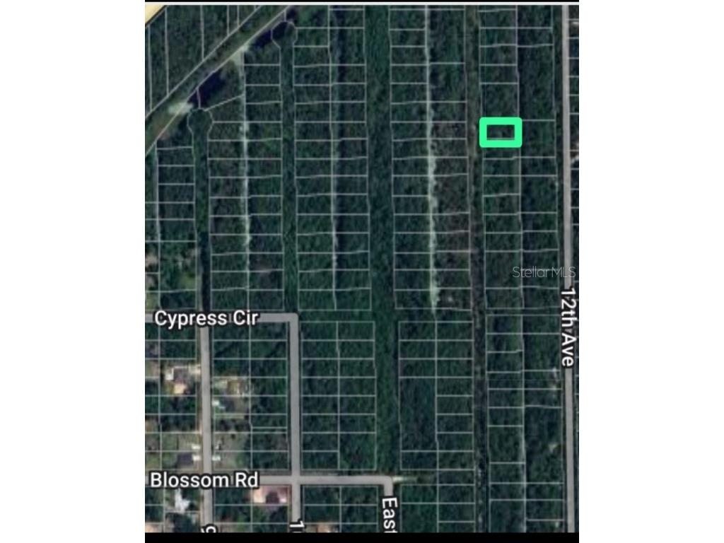 TBD 11th Avenue Deland FL 32724 OM675032 image2