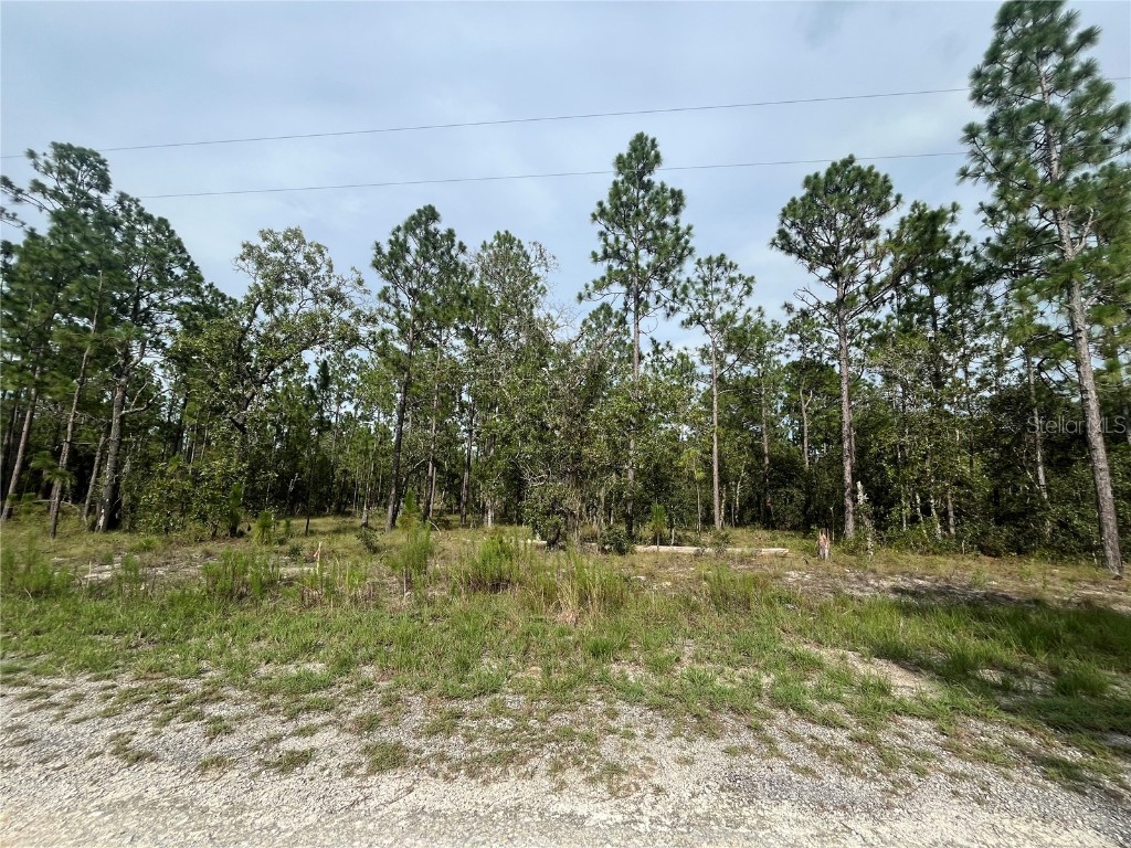TBD 133rd Avenue Dunnellon FL 34431 OK224177 image1