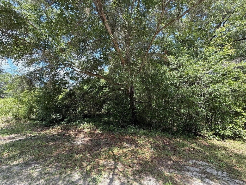 TBD 136th Court Dunnellon FL 34432 OK225230 image1