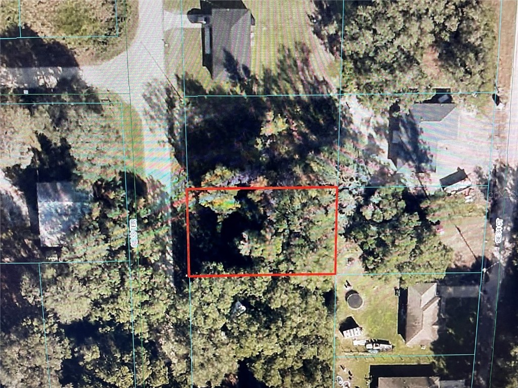 TBD 14170 SE 33rd Terrace Summerfield FL 34491 OM689543 image1
