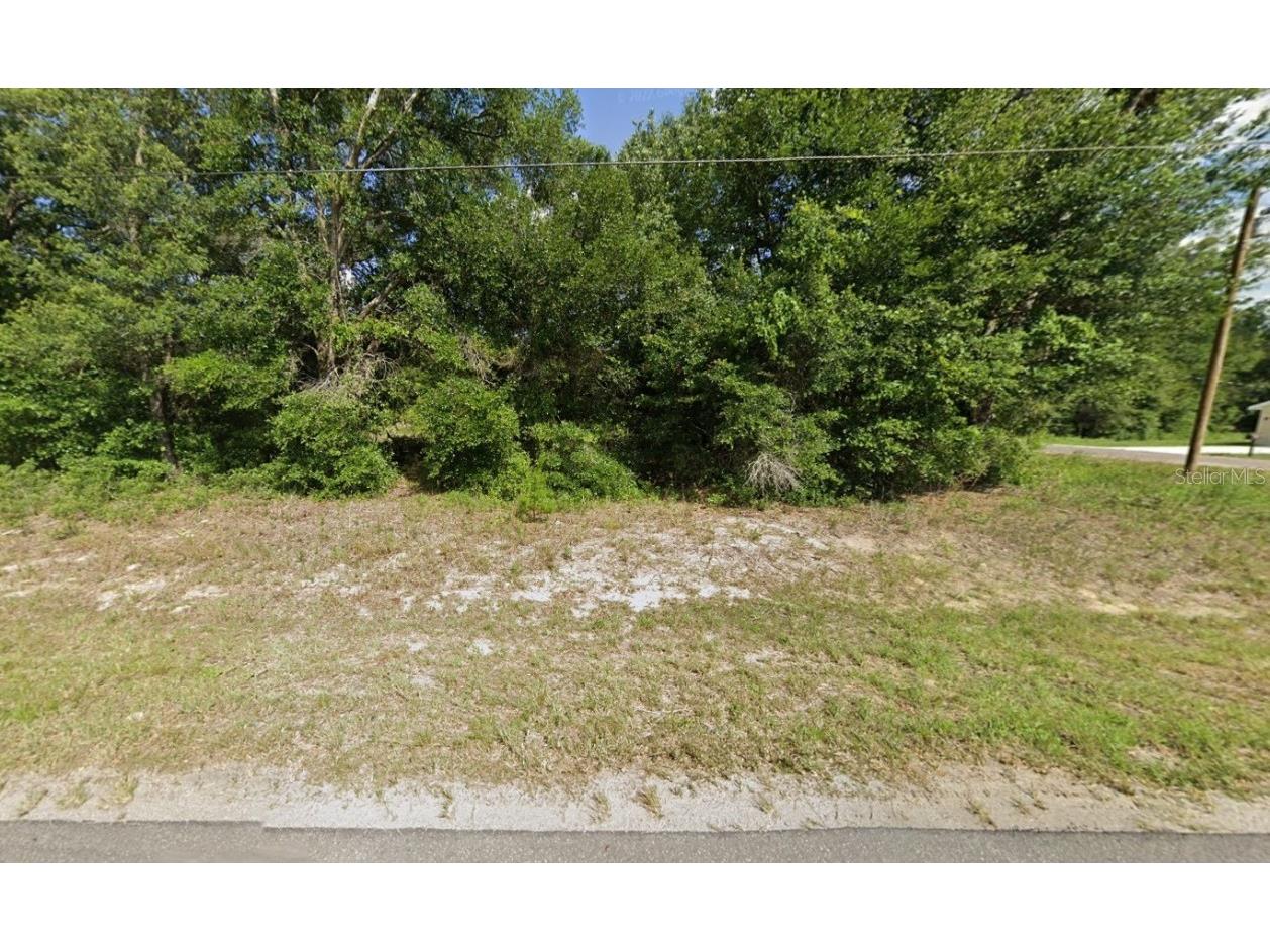 TBD 141st Ocklawaha FL 32179 OK225038 image1