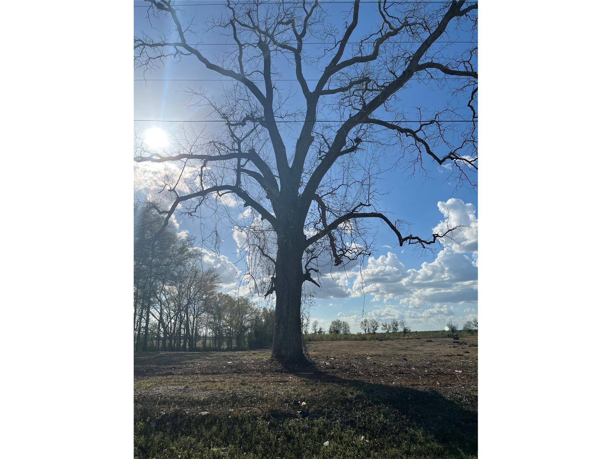 TBD 185th Rd Live Oak FL 32060 GC538180 image14