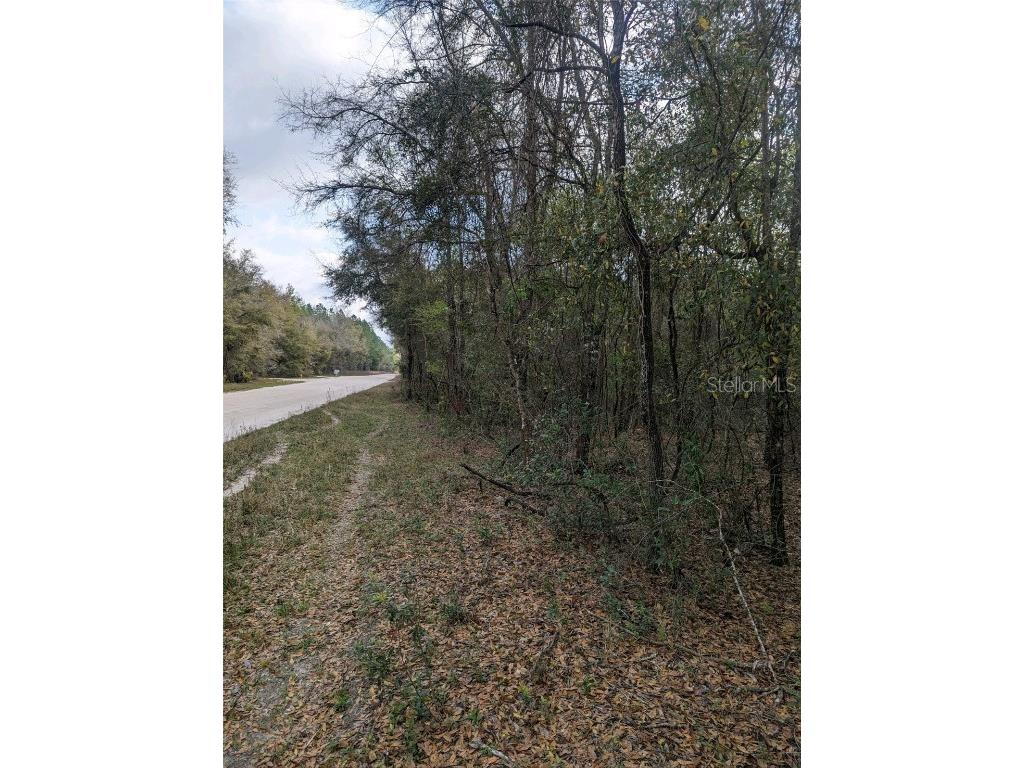 TBD 185th Road Live Oak FL 32060 GC510745 image1
