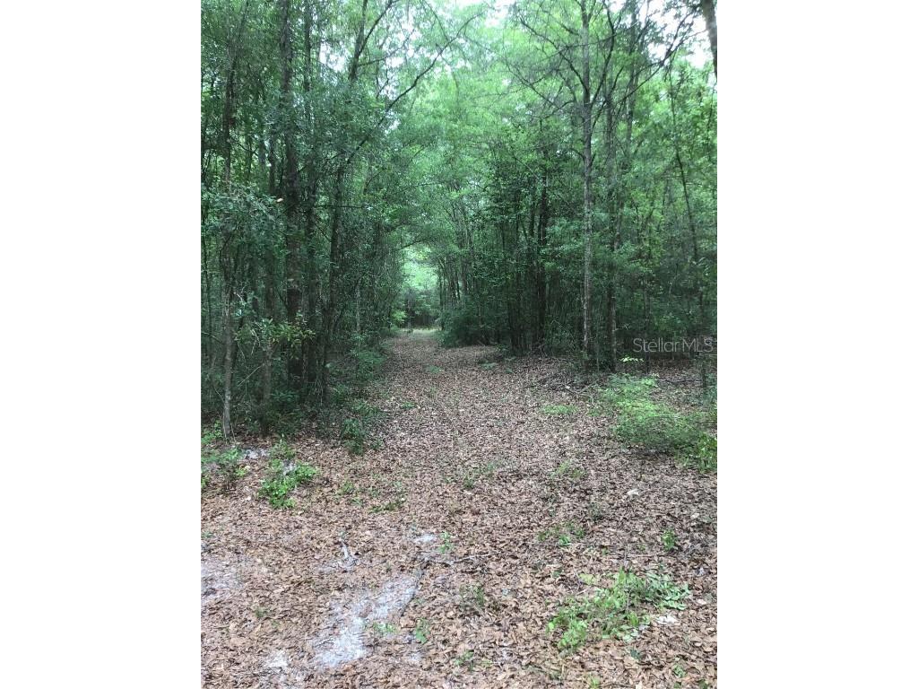 TBD 185th Road Live Oak FL 32060 GC512550 image1
